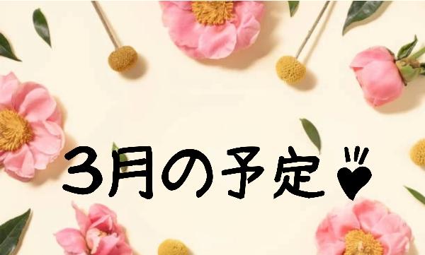 アン