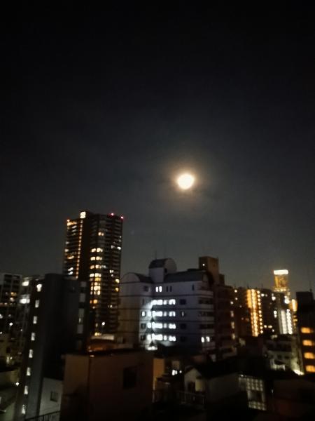 ちなみ